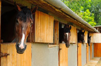 free Beechingstoke stable construction quotes